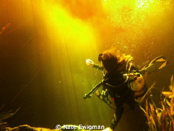 Diver looking at sun shining through tannic river water m... by Nate Ewigman 